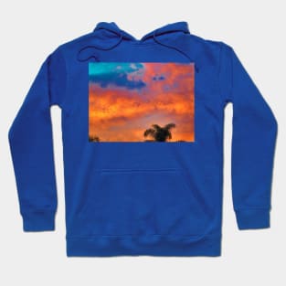 Fly high against the sky Hoodie